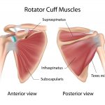 Rotator Cuff Injury