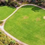 Hawthorn East Fritsch Holzer Park